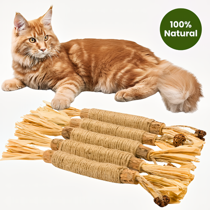 Natural Silvervine Dental Sticks for Cats by Veyro®