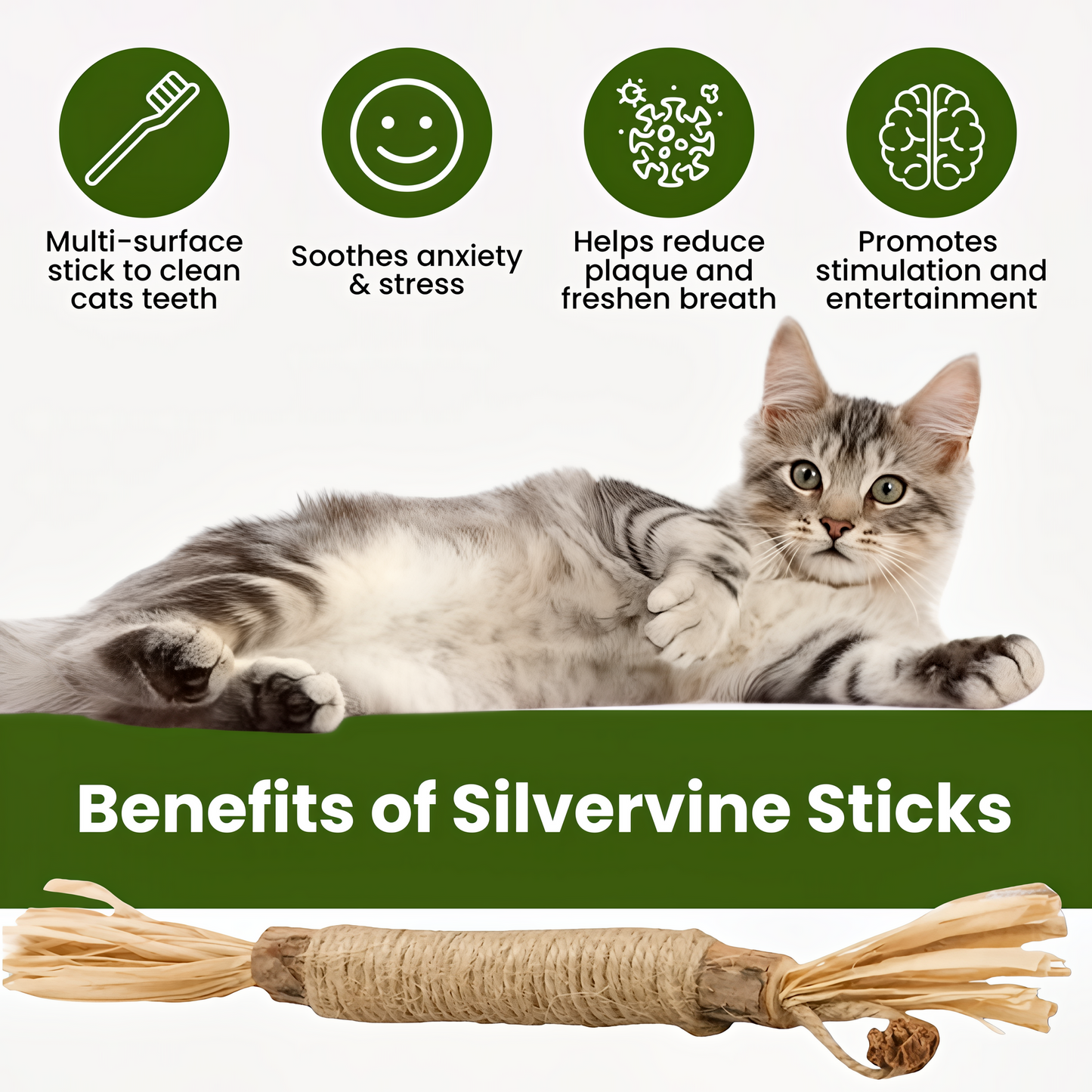 Natural Silvervine Dental Sticks for Cats by Veyro®