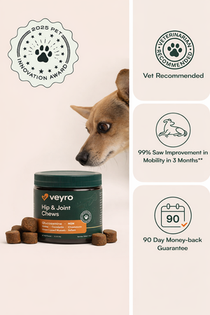 Hip and Joint Support Soft Chews for All Breeds by Veyro®